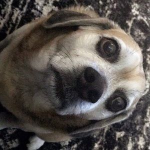 Meet your Posher, Skyler